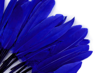 Kachní peří délka 9-14 cm - modrá královská