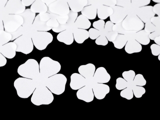Foamiran květy - bílá
