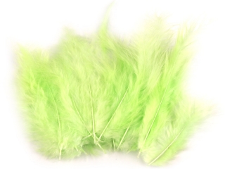 Pštrosí peří délka 9-16 cm - světle zelené