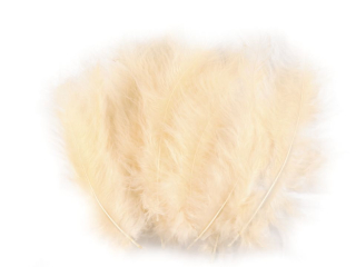 Pštrosí peří délka 9-16 cm - světle béžové