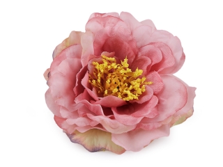 Květ čajová růže starorůžová 10 cm